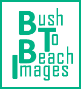 Bush To Beach Images